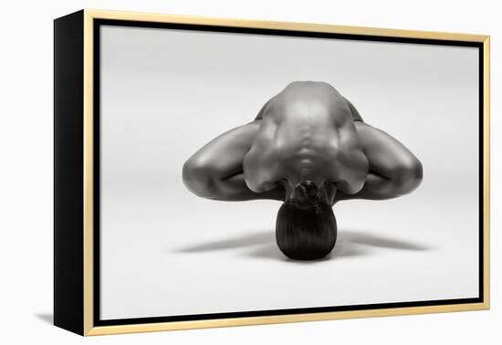 Symmetrical Gymnast-Ross Oscar-Framed Premier Image Canvas
