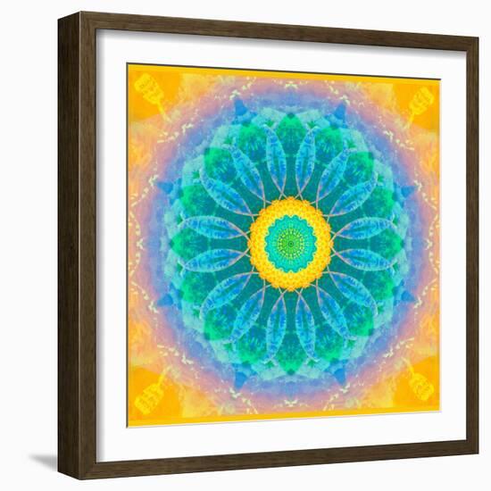 Symmetrical Montage of Flower Photographies-Alaya Gadeh-Framed Photographic Print