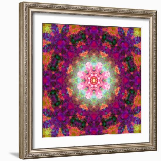 Symmetrical Ornament of Flower Photographies-Alaya Gadeh-Framed Photographic Print