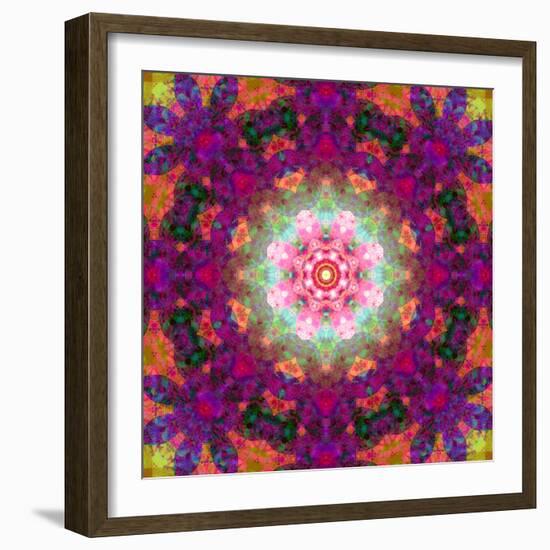 Symmetrical Ornament of Flower Photographies-Alaya Gadeh-Framed Photographic Print