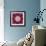 Symmetrical Ornament of Flower Photographies-Alaya Gadeh-Framed Photographic Print displayed on a wall