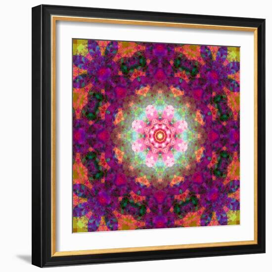 Symmetrical Ornament of Flower Photographies-Alaya Gadeh-Framed Photographic Print