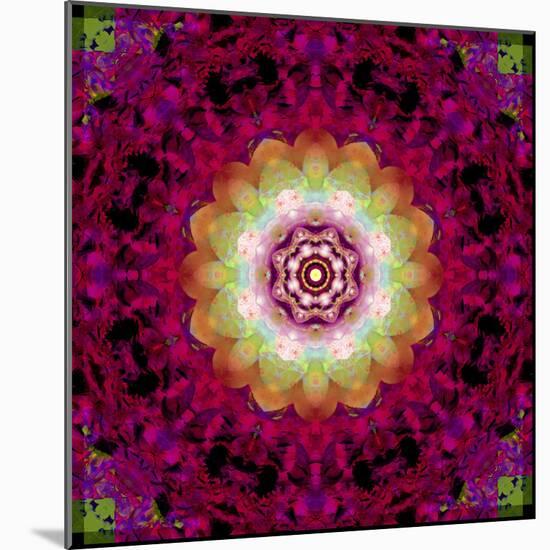 Symmetrical Ornament of Flower Photos-Alaya Gadeh-Mounted Photographic Print