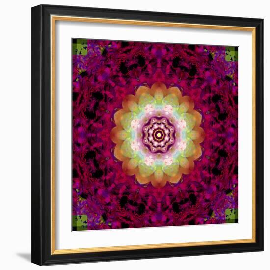 Symmetrical Ornament of Flower Photos-Alaya Gadeh-Framed Photographic Print