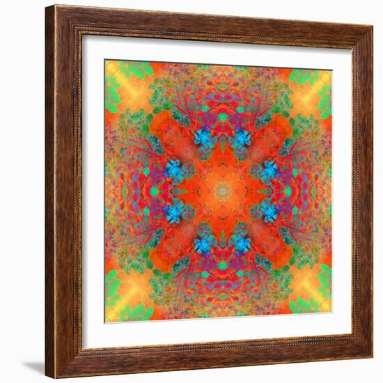 Symmetrical Ornament of Flower Photos-Alaya Gadeh-Framed Photographic Print