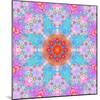 Symmetrical Ornament of Flower Photos-Alaya Gadeh-Mounted Photographic Print