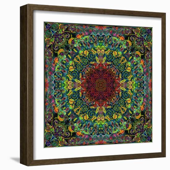 Symmetrical Ornaments, Mandala, Colourful, Hand-Signed-Alaya Gadeh-Framed Photographic Print