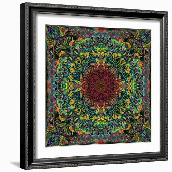 Symmetrical Ornaments, Mandala, Colourful, Hand-Signed-Alaya Gadeh-Framed Photographic Print