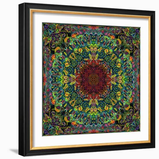 Symmetrical Ornaments, Mandala, Colourful, Hand-Signed-Alaya Gadeh-Framed Photographic Print