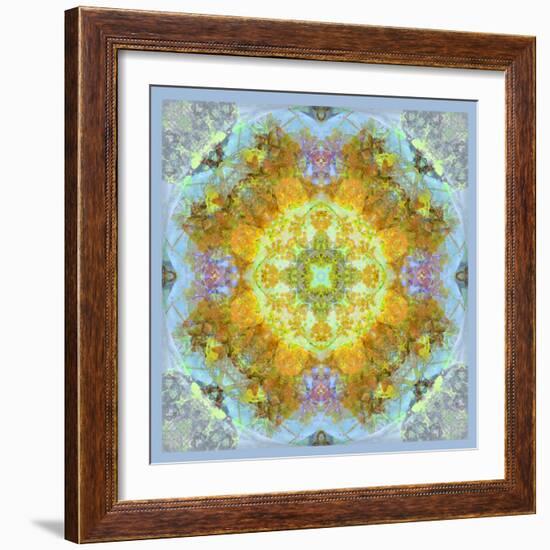 Symmetrical Ornaments, Mandala, Colourful-Alaya Gadeh-Framed Photographic Print