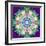 Symmetrical Photomontage of Flower Photographies a Mandala-Alaya Gadeh-Framed Photographic Print