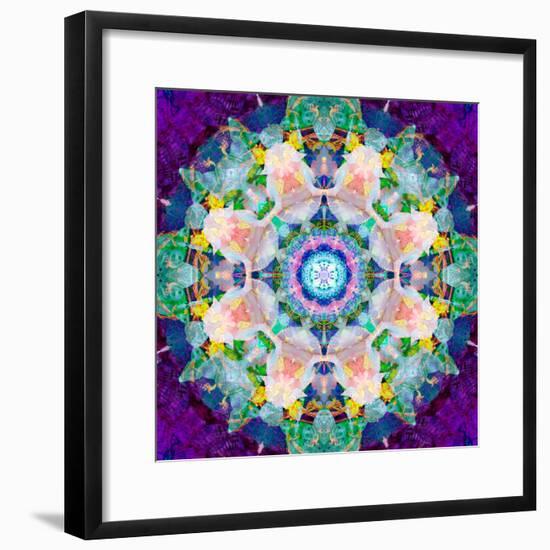 Symmetrical Photomontage of Flower Photographies a Mandala-Alaya Gadeh-Framed Photographic Print