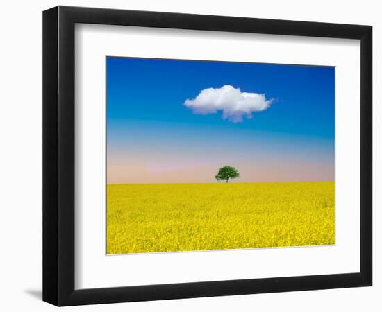 Symmetries-Marco Carmassi-Framed Photographic Print