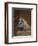 Sympathy-Briton Riviere-Framed Premium Giclee Print