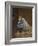 Sympathy-Briton Riviere-Framed Giclee Print