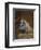 Sympathy-Briton Riviere-Framed Giclee Print