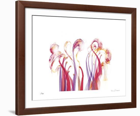 Symphonic Morphons-Shams Rasheed-Framed Giclee Print