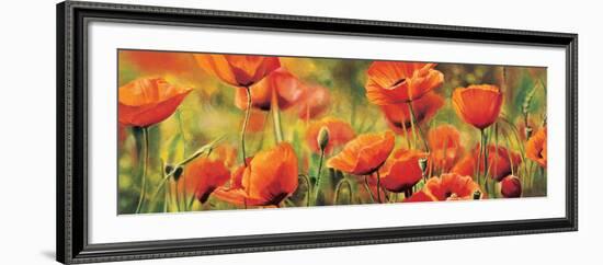 Symphonie de coquelicots-Pierre Viollet-Framed Art Print