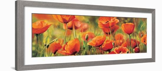 Symphonie de coquelicots-Pierre Viollet-Framed Art Print