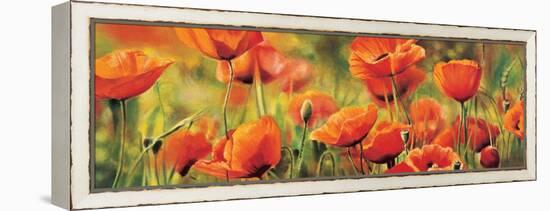 Symphonie de coquelicots-Pierre Viollet-Framed Stretched Canvas