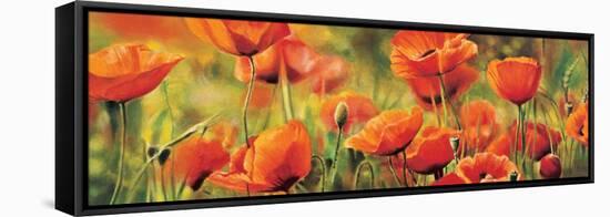 Symphonie de coquelicots-Pierre Viollet-Framed Stretched Canvas