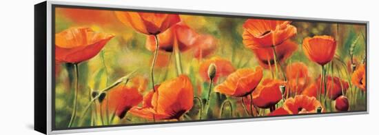 Symphonie de coquelicots-Pierre Viollet-Framed Stretched Canvas