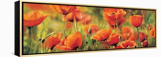 Symphonie de coquelicots-Pierre Viollet-Framed Stretched Canvas