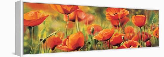 Symphonie de coquelicots-Pierre Viollet-Framed Stretched Canvas