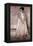 Symphony in Flesh Color and Pink: Portrait of Mrs. Frances Leyland-James Abbott McNeill Whistler-Framed Premier Image Canvas