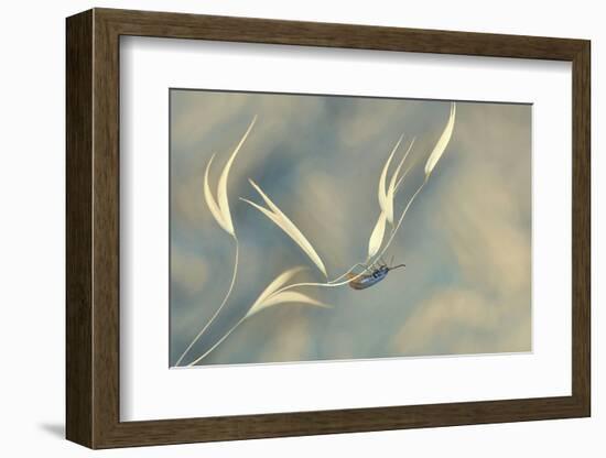 Symphony unfinished...-Thierry Dufour-Framed Photographic Print