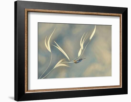 Symphony unfinished...-Thierry Dufour-Framed Photographic Print