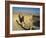 Synagogue, Masada, UNESCO World Heritage Site, Israel, Middle East-Simanor Eitan-Framed Photographic Print