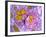 Synapse Nerve Junction, TEM-Thomas Deerinck-Framed Photographic Print