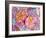 Synapse Nerve Junction, TEM-Thomas Deerinck-Framed Photographic Print