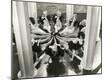 Premium Photographic Print