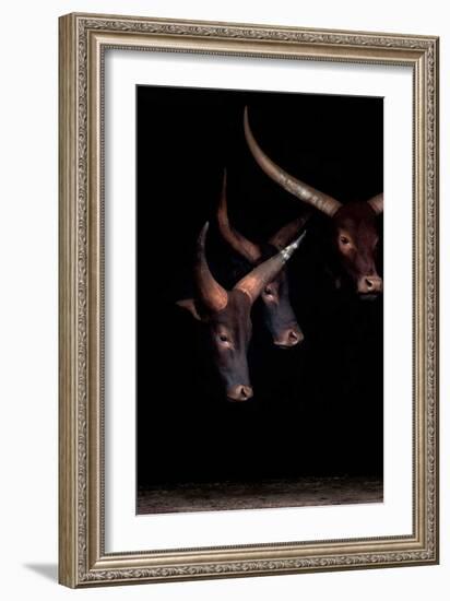 Syndicate I-Xavier Ortega-Framed Art Print