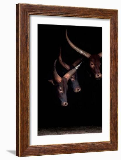 Syndicate I-Xavier Ortega-Framed Art Print