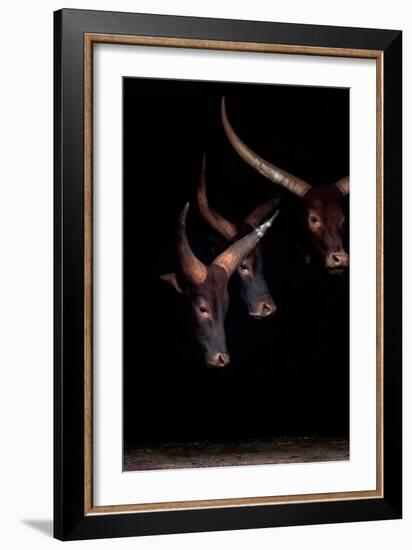 Syndicate I-Xavier Ortega-Framed Art Print