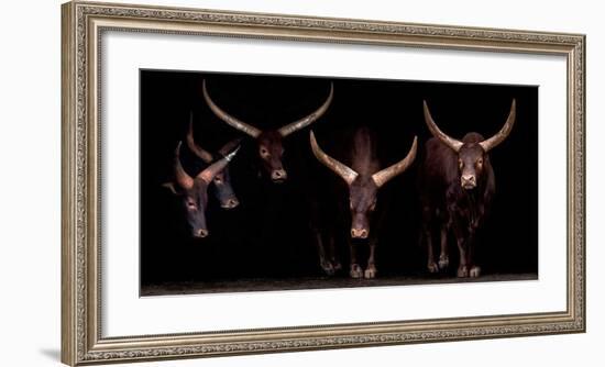 Syndicate-Xavier Ortega-Framed Giclee Print