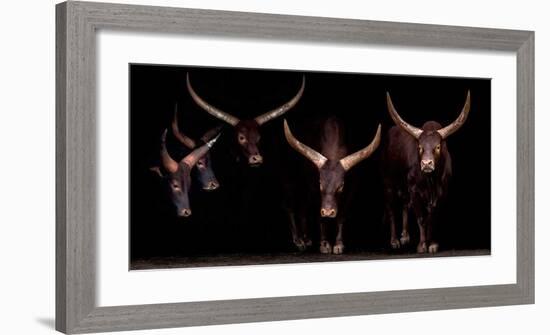 Syndicate-Xavier Ortega-Framed Giclee Print