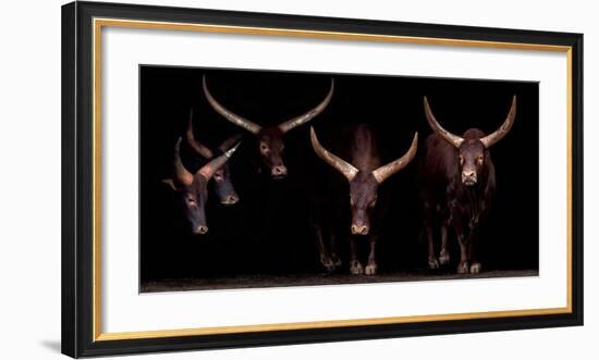 Syndicate-Xavier Ortega-Framed Giclee Print