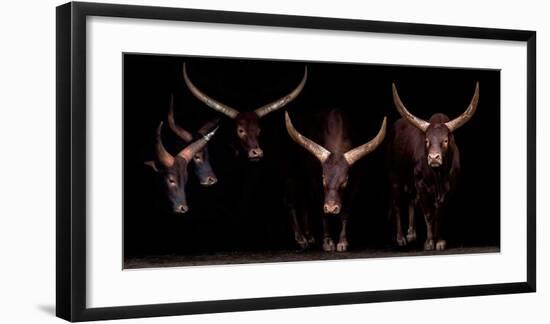 Syndicate-Xavier Ortega-Framed Giclee Print