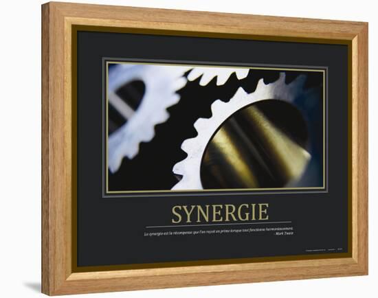 Synergie (French Translation)-null-Framed Stretched Canvas