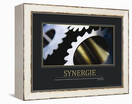 Synergie (French Translation)-null-Framed Stretched Canvas