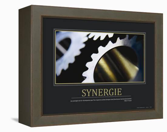 Synergie (French Translation)-null-Framed Stretched Canvas