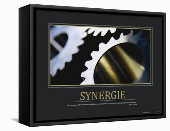 Synergie (French Translation)-null-Framed Stretched Canvas