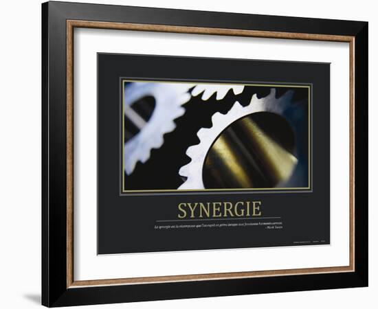 Synergie (French Translation)-null-Framed Photo