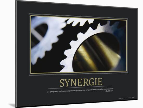 Synergie (French Translation)-null-Mounted Photo