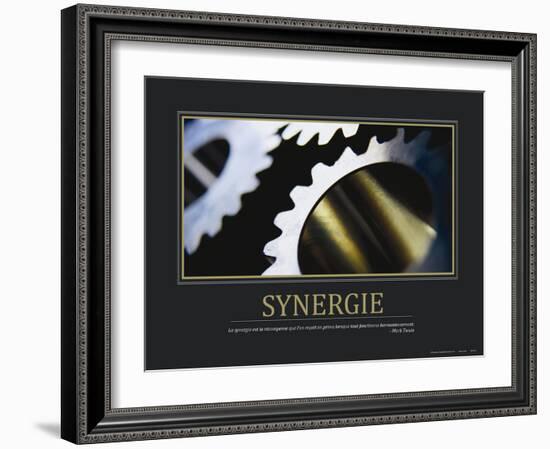Synergie (French Translation)-null-Framed Photo