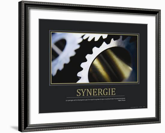 Synergie (French Translation)-null-Framed Photo